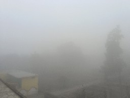 बलरामपुर न्यूज  